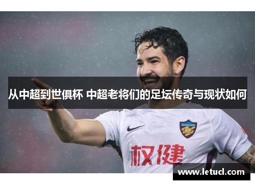 从中超到世俱杯 中超老将们的足坛传奇与现状如何
