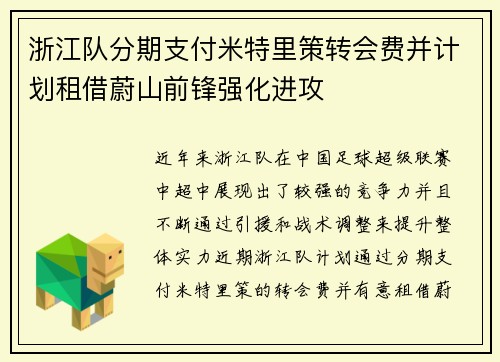 浙江队分期支付米特里策转会费并计划租借蔚山前锋强化进攻