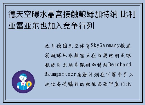 德天空曝水晶宫接触鲍姆加特纳 比利亚雷亚尔也加入竞争行列